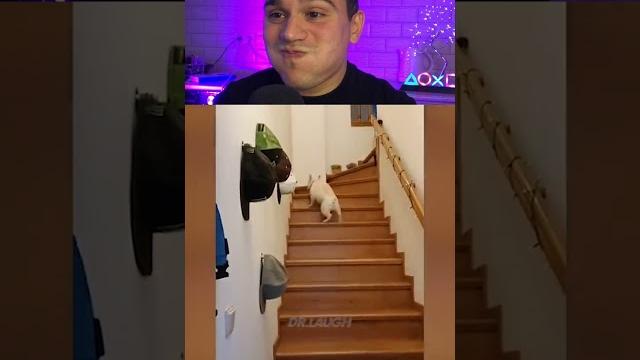 Улыбнулся - проиграл, удаляешь tiktok #3 Улыбнулся - проиграл, удаляешь tiktok #3