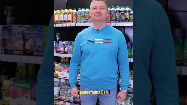 Без этого элемента листья желтеют, а побеги растут слабыми и короткими! важная подкормка весной Без этого элемента листья желтеют, а побеги растут слабыми и короткими! важная подкормка весной