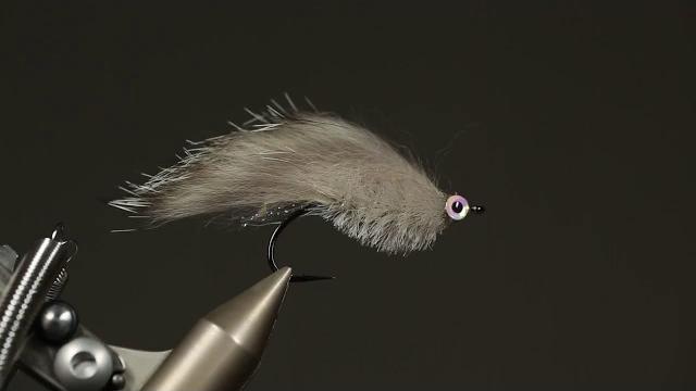 Brilliant brush bait fish 1 Brilliant brush bait fish 1