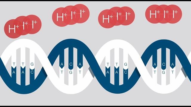 Ion torrent next-generation sequencing Ion torrent next-generation sequencing