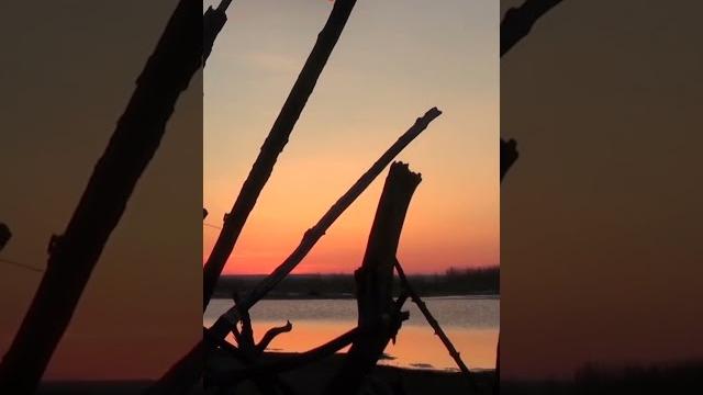 Первый весенний гусь добыт!/the first spring goose has been caught! #якутия #россия #охота #гусь Первый весенний гусь добыт!/the first spring goose has been caught! #якутия #россия #охота #гусь