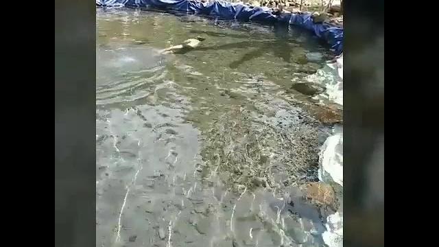Mandi bugil Mandi bugil