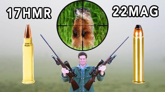 17hmr vs 22mag hunting! 17hmr vs 22mag hunting!