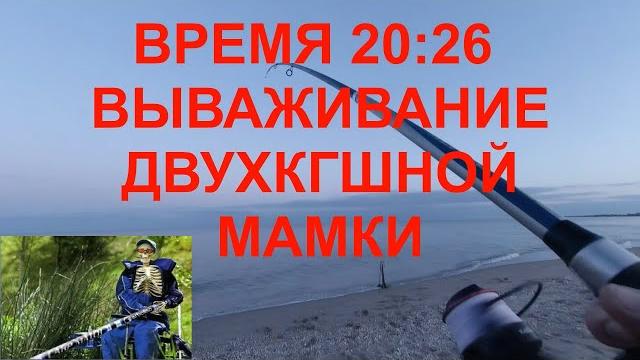 Крупный пеленгас на закате Крупный пеленгас на закате