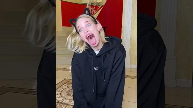 Tik-tok: знакомство с котом Tik-tok: знакомство с котом