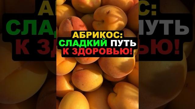 Абрикос: сладкий путь к здоровью! #абрикос #польза #здоровье #полезныесвойства #пп #еда #похудение Абрикос: сладкий путь к здоровью! #абрикос #польза #здоровье #полезныесвойства #пп #еда #похудение