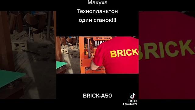 Макуха, технопланктон, жмых. Макуха, технопланктон, жмых.