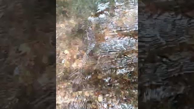 Sungai kalimantan tempat para gadis dewasa mandi telanjang bulat di tengah hutan saking sepinya Sungai kalimantan tempat para gadis dewasa mandi telanjang bulat di tengah hutan saking sepinya