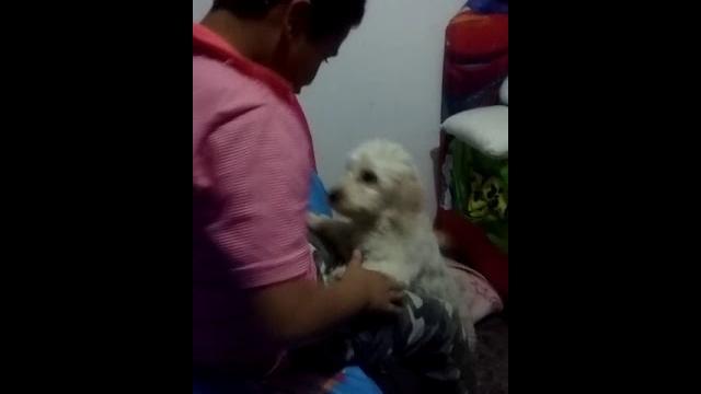 Jugando mesu Jugando mesu