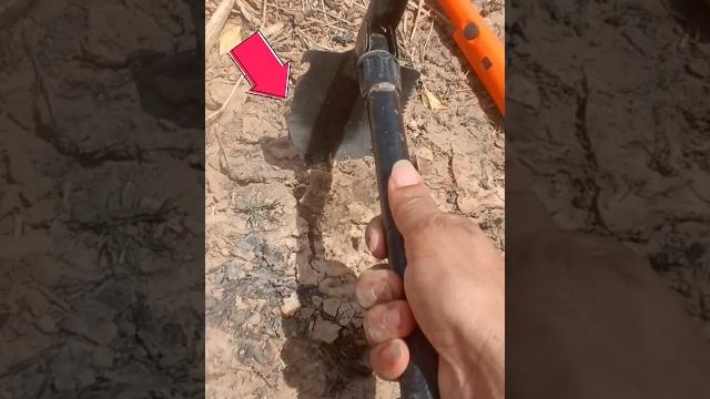 Gold hunting with metal detector #goldhunting #metaldetecting #shortsfeed #foundgold #history #tools Gold hunting with metal detector #goldhunting #metaldetecting #shortsfeed #foundgold #history #tools