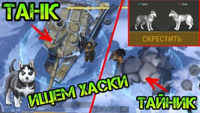 Поиск щенков, залутал 15 зимних локаций! скрещиваем хаски! нашел редкий танк и тайник last day Поиск щенков, залутал 15 зимних локаций! скрещиваем хаски! нашел редкий танк и тайник last day