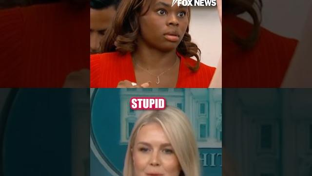 'what a stupid question!' - leavitt ridicules question on trump #shorts #usa #news #trump #media 'what a stupid question!' - leavitt ridicules question on trump #shorts #usa #news #trump #media