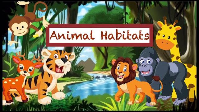 Animals and their habitats! Animals and their habitats!