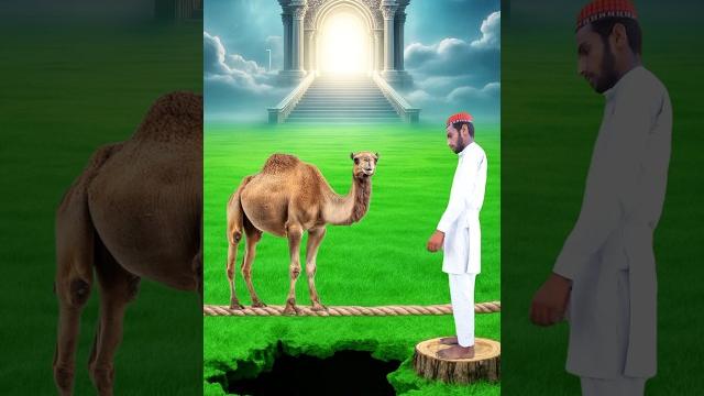 Ummi inna #shorts #islamicshorts #shortvideo Ummi inna #shorts #islamicshorts #shortvideo