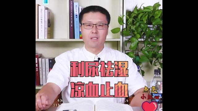 蜂蜜到底有没有用|【老安谈健康】 蜂蜜到底有没有用|【老安谈健康】