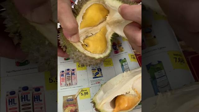 Musang king Musang king