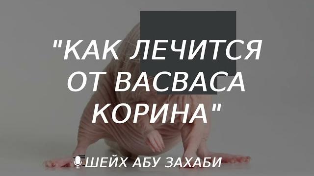 Как лечится от васваса Как лечится от васваса