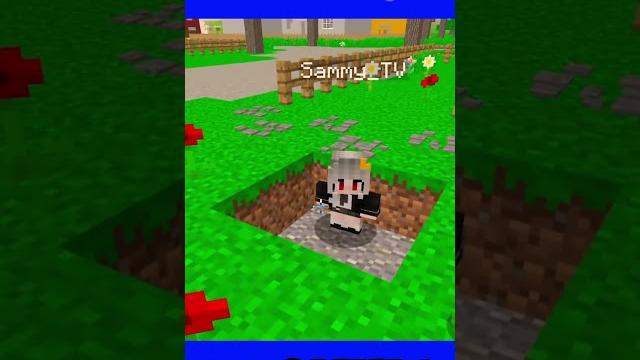 Cách phong cận khắc chế nóc nhà sammy Cách phong cận khắc chế nóc nhà sammy