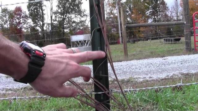 Barbed wire and t-post fence spacing Barbed wire and t-post fence spacing