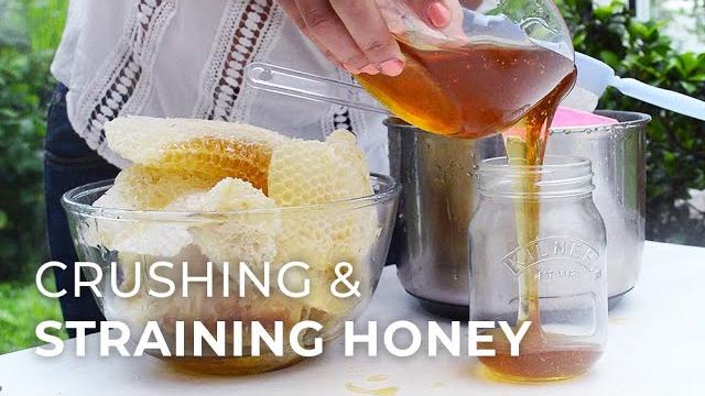 Harvesting honey: the crushing & straining method Harvesting honey: the crushing & straining method