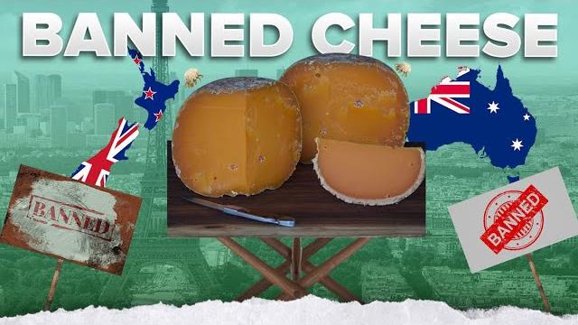 The most delicious banned substance #shorts The most delicious banned substance #shorts