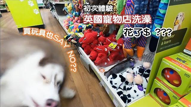 狗奴大出血 |英國寵物店 | 洗澡 讓狗狗親自挑玩具 狗奴大出血 |英國寵物店 | 洗澡 讓狗狗親自挑玩具