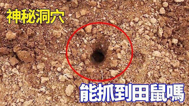 A mysterious cave found in the wild A mysterious cave found in the wild