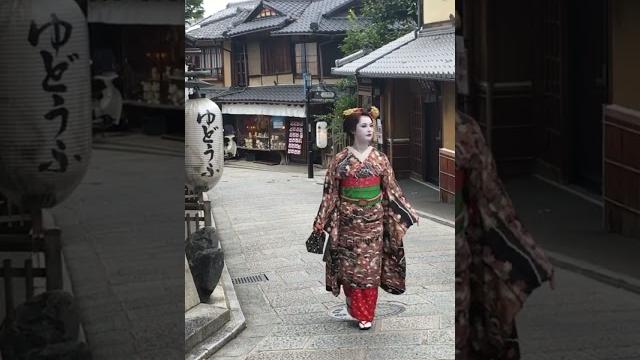 A rare moment of me dressed as a “maiko”san . i guess i’m still a trainee at some point in my life… A rare moment of me dressed as a “maiko”san . i guess i’m still a trainee at some point in my life…