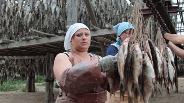 Вяленая рыба по астрахански. как правильно сушить, солить, вялить рыбу. плотва, окунь, таранка Вяленая рыба по астрахански. как правильно сушить, солить, вялить рыбу. плотва, окунь, таранка