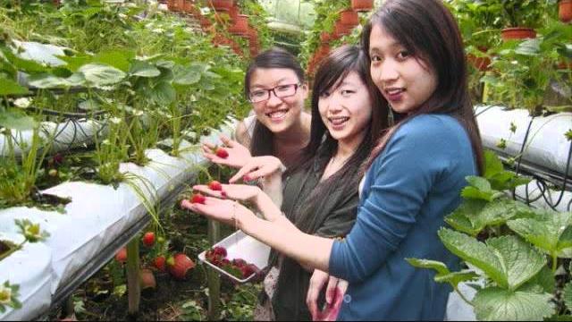 Princess 冰冰 22 birthday.wmv Princess 冰冰 22 birthday.wmv