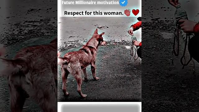 Respect for this... motivational status #motivation #whatsappstatus #youtube #attitude Respect for this... motivational status #motivation #whatsappstatus #youtube #attitude