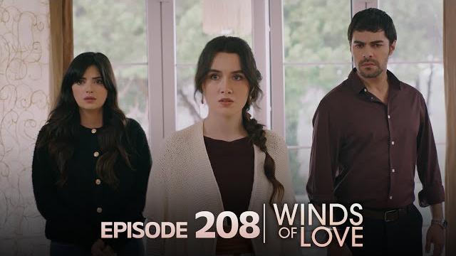 Rüzgarlı tepe 208. bölüm | winds of love episode 208 Rüzgarlı tepe 208. bölüm | winds of love episode 208