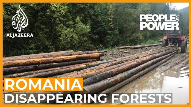 Romania: rape of the forest | people and power Romania: rape of the forest | people and power
