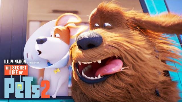 The secret life of pets 2 | max and duke go on a road trip! The secret life of pets 2 | max and duke go on a road trip!
