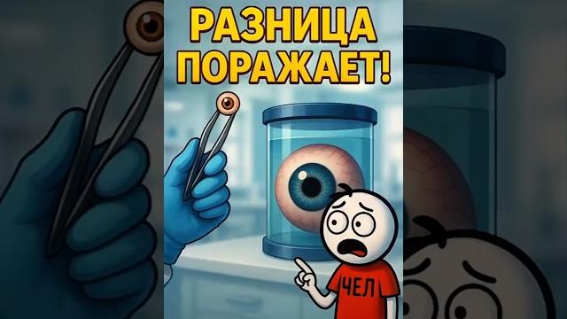 Самый большой глаз в мире! #shorts Самый большой глаз в мире! #shorts