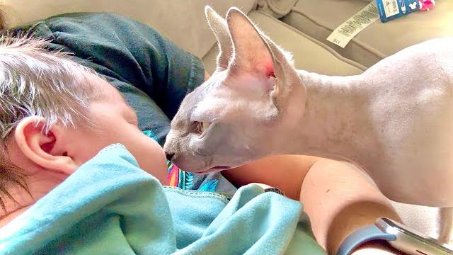 Cat wants to meet baby! Cat wants to meet baby!