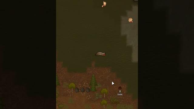 Водоплавающие животные в rimworld 1.6 #rimworld Водоплавающие животные в rimworld 1.6 #rimworld