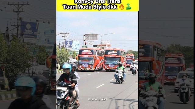 Heboh! basuri pakistan tuan muda style- bris trans casper dkk #busmania #basuri #shorts Heboh! basuri pakistan tuan muda style- bris trans casper dkk #busmania #basuri #shorts