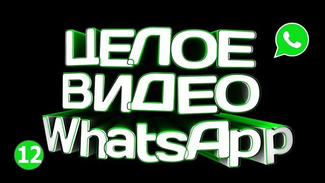Как отправить длинное видео в whatsapp 2021 Как отправить длинное видео в whatsapp 2021
