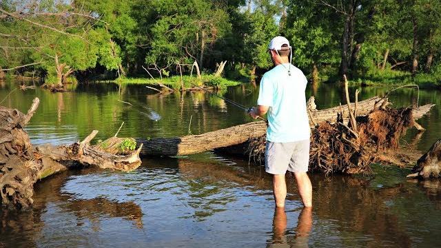 Topwater frog fishing in extremely shallow water! Topwater frog fishing in extremely shallow water!