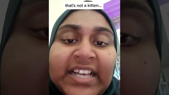 Big pussy cat Big pussy cat