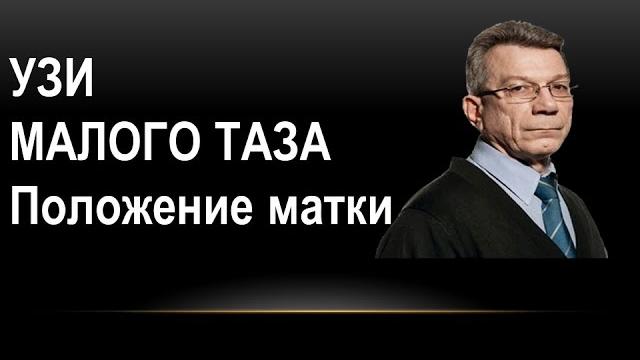 Узи органов малого таза: положения матки Узи органов малого таза: положения матки