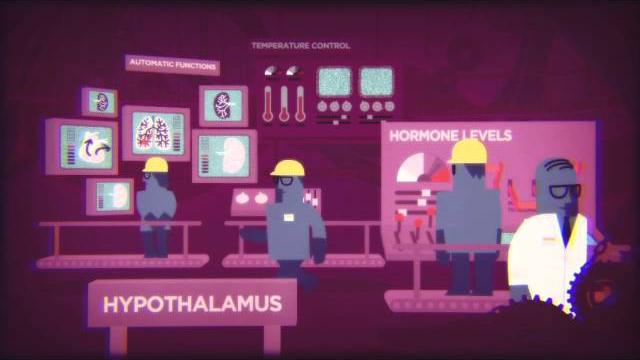 Under construction: alcohol and the teenage brain Under construction: alcohol and the teenage brain