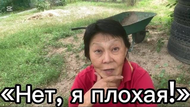 338. вы, не дооцениваете меня, господа! 338. вы, не дооцениваете меня, господа!