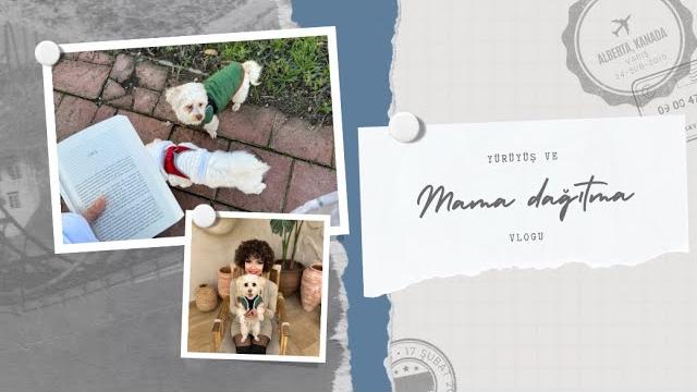 Yürüyüş ve mama dağıtma vlogu Yürüyüş ve mama dağıtma vlogu