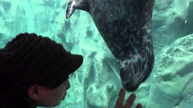 Mrsum+seal Mrsum+seal