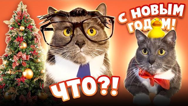 Все новогодние серии - если бы котики ходили в школу Все новогодние серии - если бы котики ходили в школу