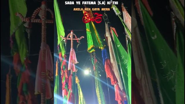 Zuljanah #zuljanah #zuljana #azadari #muharram #karbala #shorts #videos #explore #virel #trending Zuljanah #zuljanah #zuljana #azadari #muharram #karbala #shorts #videos #explore #virel #trending