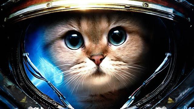 Самый вежливый,нетоксичный и дружелюбный стримлер научит тебя играть (это не точно) war thunder Самый вежливый,нетоксичный и дружелюбный стримлер научит тебя играть (это не точно) war thunder