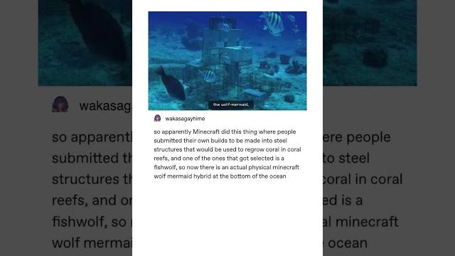 A minecraft tumblr post A minecraft tumblr post